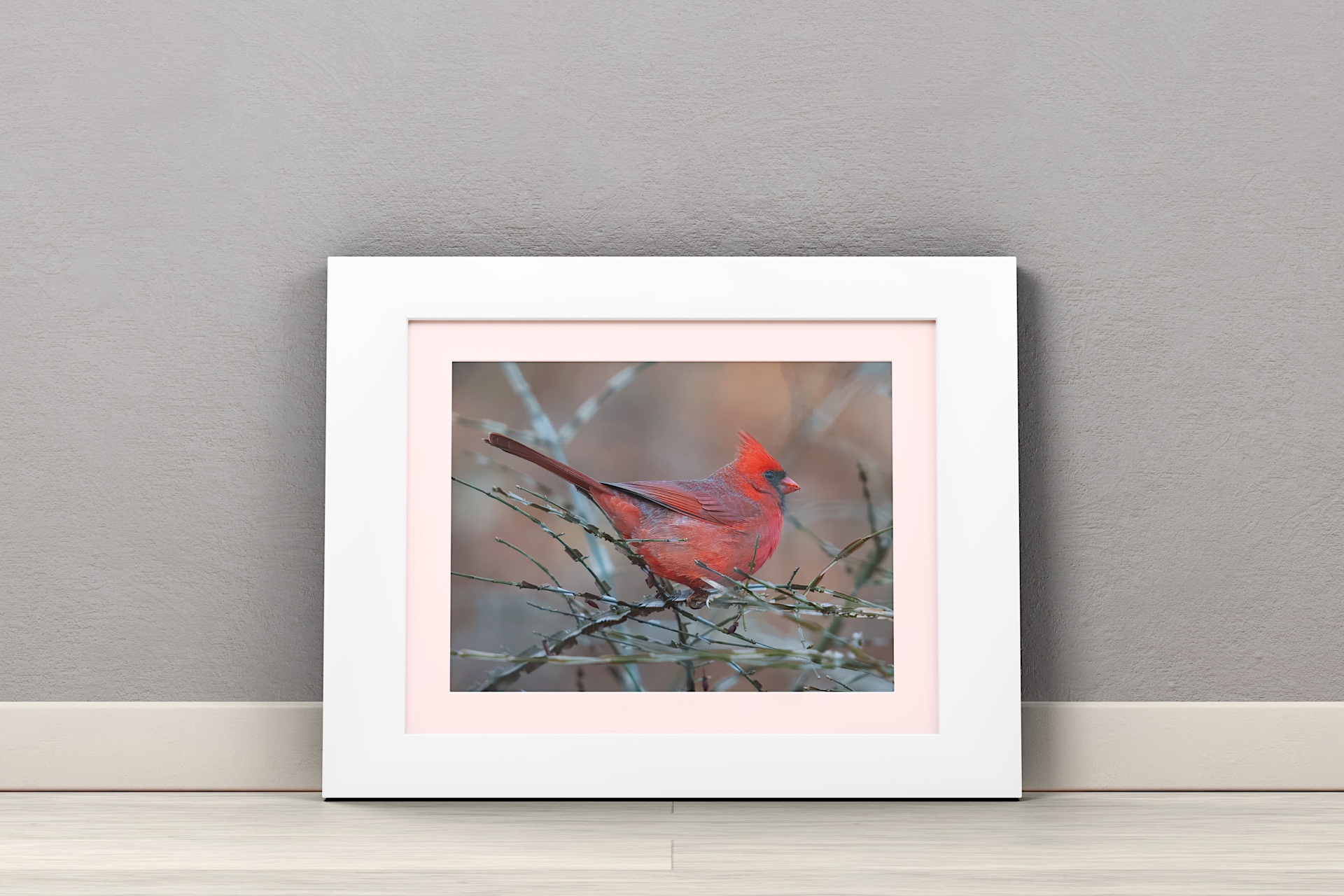 Framed photo of a red cardinal on a branch against a beige wall, resting on a floor, with a subtle pink matting.