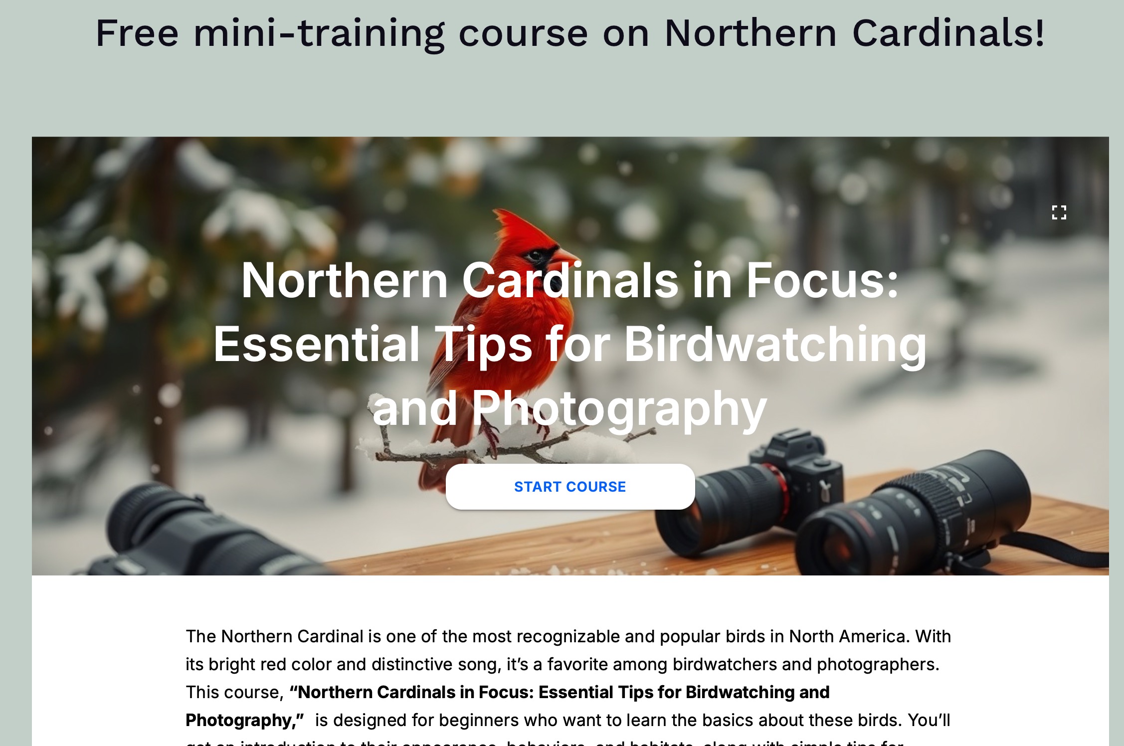 Image of a webpage about a mini-training course titled "Northern Cardinals in Focus: Essential Tips for Birdwatching and Photography," featuring a photo of a Northern Cardinal on a branch with cameras nearby.