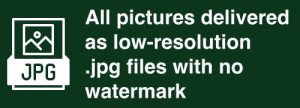 White text on a dark background: "All pictures delivered as low-resolution .jpg files with no watermark" next to a JPG icon.