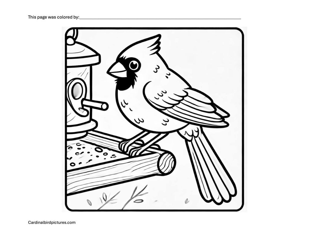 Black and white drawing of a cardinal sitting on a branch next to a bird feeder.