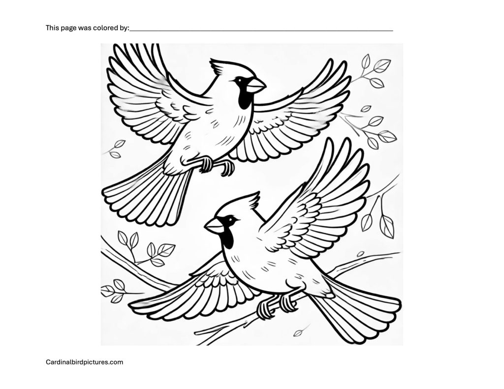 Two illustrated cardinals with outstretched wings perched on branches, surrounded by leaves.